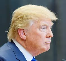 L'Arma della Semplicità